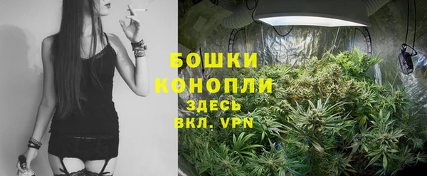 метадон Пестово