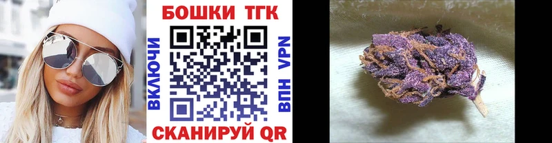 Каннабис планчик Северская